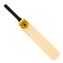 BEARS MINI BAT 2023