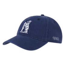 WCCC WASHED CAP