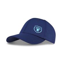 BEARS RUN CAP