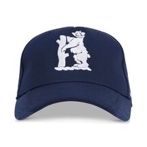 WARWICKSHIRE CASTORE PLAYING CAP 2026
