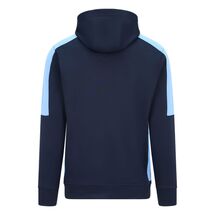 BEARS ACTIVE HOODY