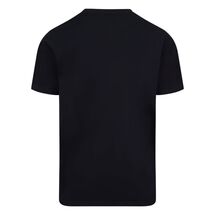 BIRMINGHAM PHOENIX MENS PRINT TEE